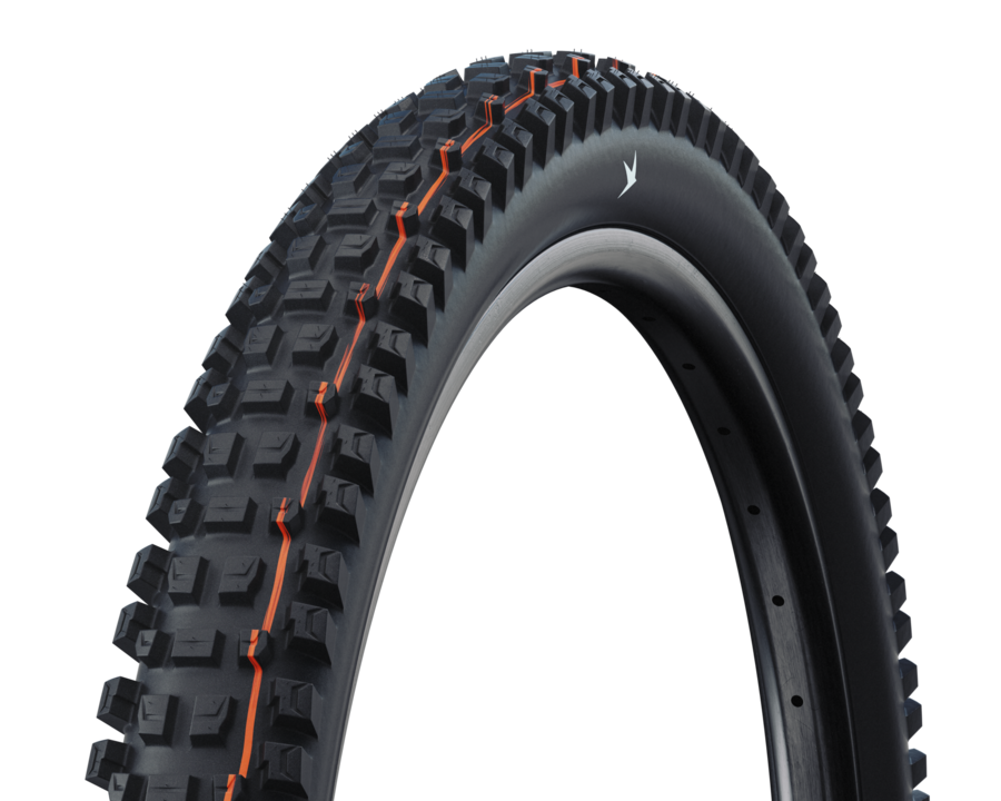 Schwalbe Albert Gravity PRO Radial