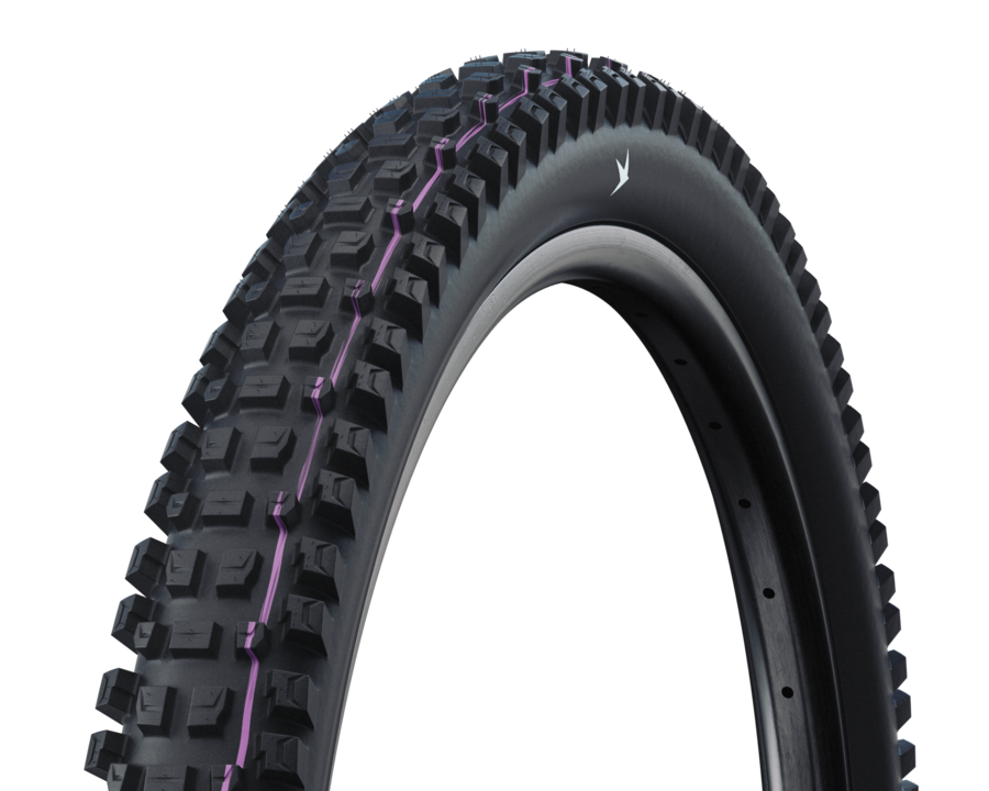 Schwalbe Albert Gravity PRO Radial