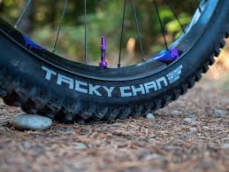 Tacky Chan tire on a bike wheel with a blurred natural background
