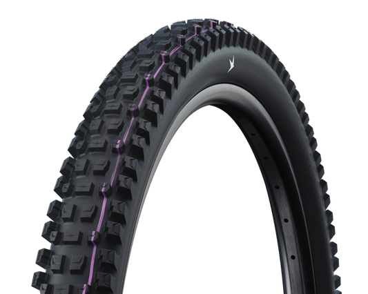 Schwalbe Albert Gravity PRO Radial